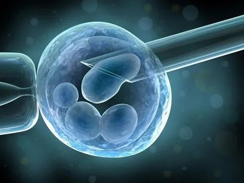 Application of High Speed Camera in Single Cell Separation Technology