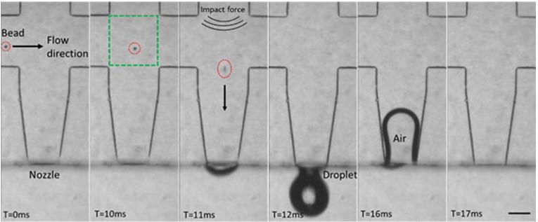 Application of High Speed Camera in Single Cell Separation Technology