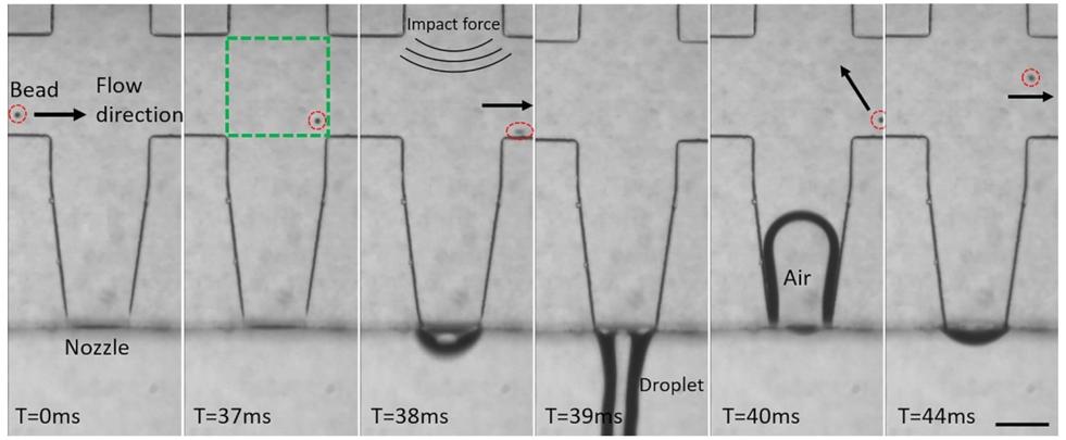 Application of High Speed Camera in Single Cell Separation Technology