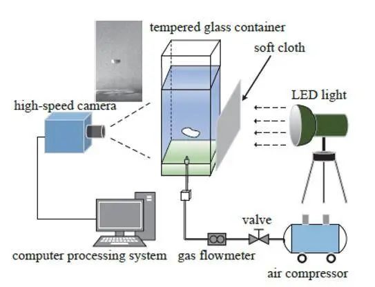 Application of High-Speed Cameras in Bubble Image Separation Studies