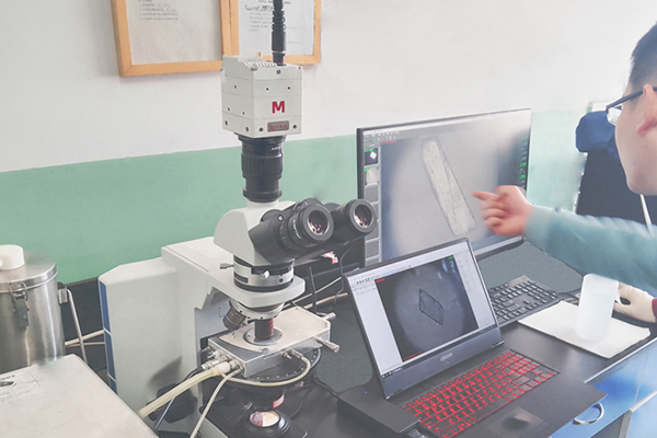 Biomedical