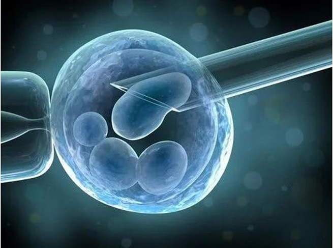 high speed cameras in single cell separation technology 1