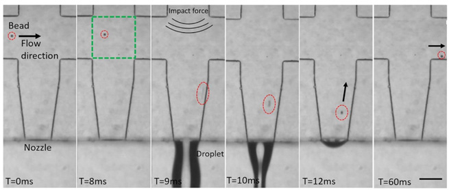 high speed cameras in single cell separation technology 5