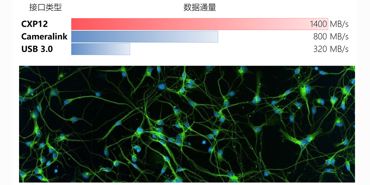 High-Speed And High-Throughput