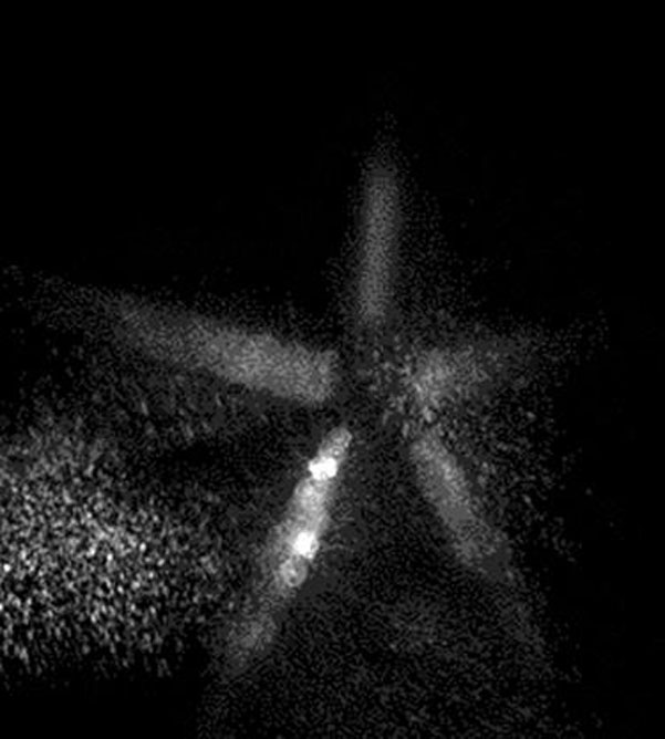 cold-ion-cloud-imaging-and-measurement-experiments-using-the-revealer-scmos-camera2.jpg cold-ion-cloud-imaging-and-measurement-experiments-using-the-revealer-scmos-camera2.jpg