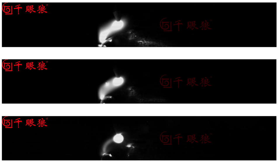 Decay_and_extinction_stage.jpg Decay_and_extinction_stage.jpg