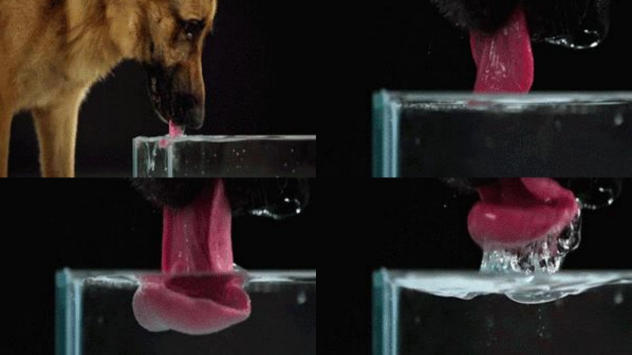 technology-changes-life-innovation-wins-the-future---revealer-high-speed-camera-welcomes-the-first-national-science-popularization-month1.jpg technology-changes-life-innovation-wins-the-future---revealer-high-speed-camera-welcomes-the-first-national-science-popularization-month1.jpg