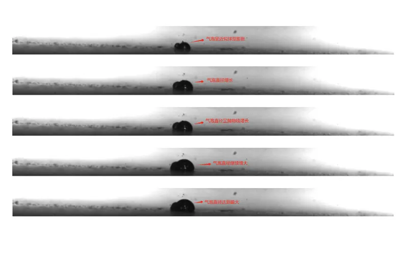 Observation of laser-induced cavitation bubbles using the Revealer high-speed camera NEO 25