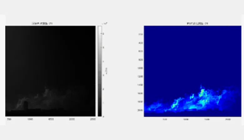 Flame Species Concentration Measurement