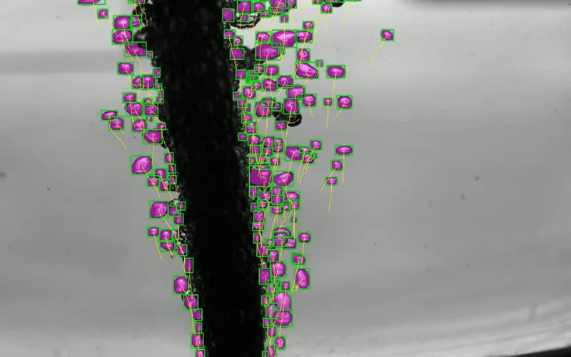 Fine Measurement of High-Speed Bubble Dynamics Evolution via Heterogeneous Branching Neural Networks: Algorithmic Innovation and Application of Revealer High Speed Cameras