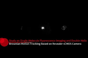 Study on Single-Molecule Fluorescence Imaging and Double-Helix Brownian Motion Tracking Based on Revealer sCMOS Camera