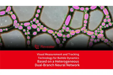 Visual Measurement and Tracking Technology for Bubble Dynamics Based on a Heterogeneous Dual-Branch Neural Network