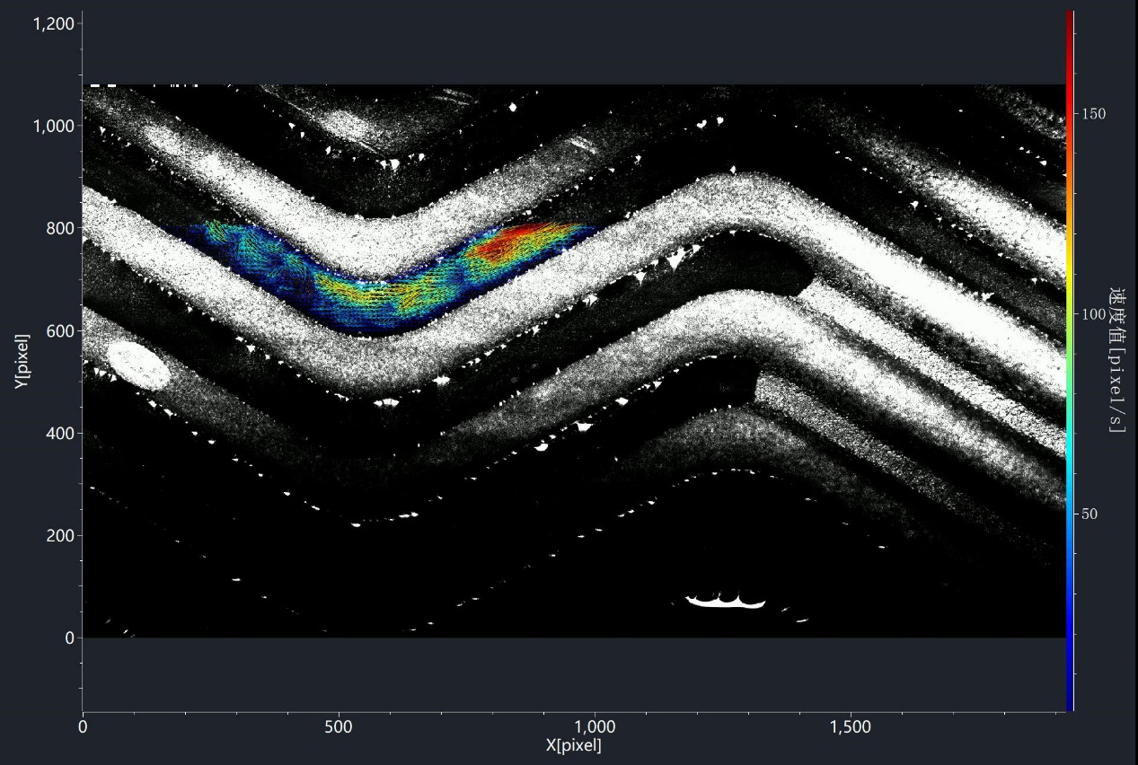 figure-velocity-vector-diagram-of-jellyfish-swimming-visualized-and-measured-using-a-particle-image-velocimetry-piv-system.jpg