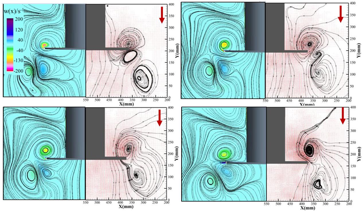 figure-velocity-vector-diagram-of-jellyfish-swimming-visualized-and-measured-using-piv-system.jpg