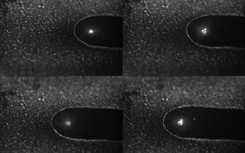High-Speed Imaging Observation and Mechanism Comparative Study of Molten Pool Dynamic Behavior in Laser-Arc Hybrid Welding