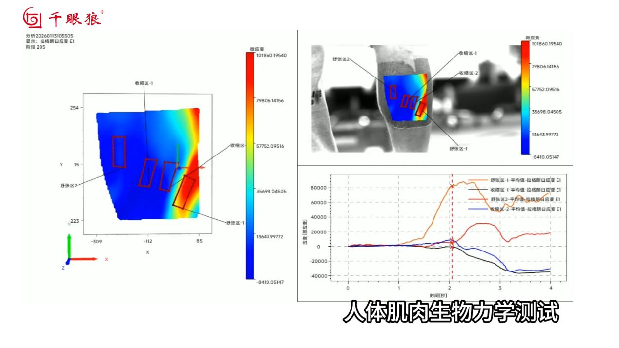 application-of-digital-image-correlation-dic-in-soft-matter-experimental-mechanics-fig-2.jpg application-of-digital-image-correlation-dic-in-soft-matter-experimental-mechanics-fig-2.jpg