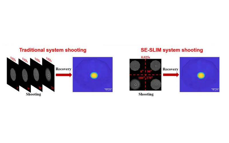 High-Throughput Quantitative Phase Imaging via Single-Exposure Parallel Four-Step Phase Shifting Enabled by an sCMOS Camera