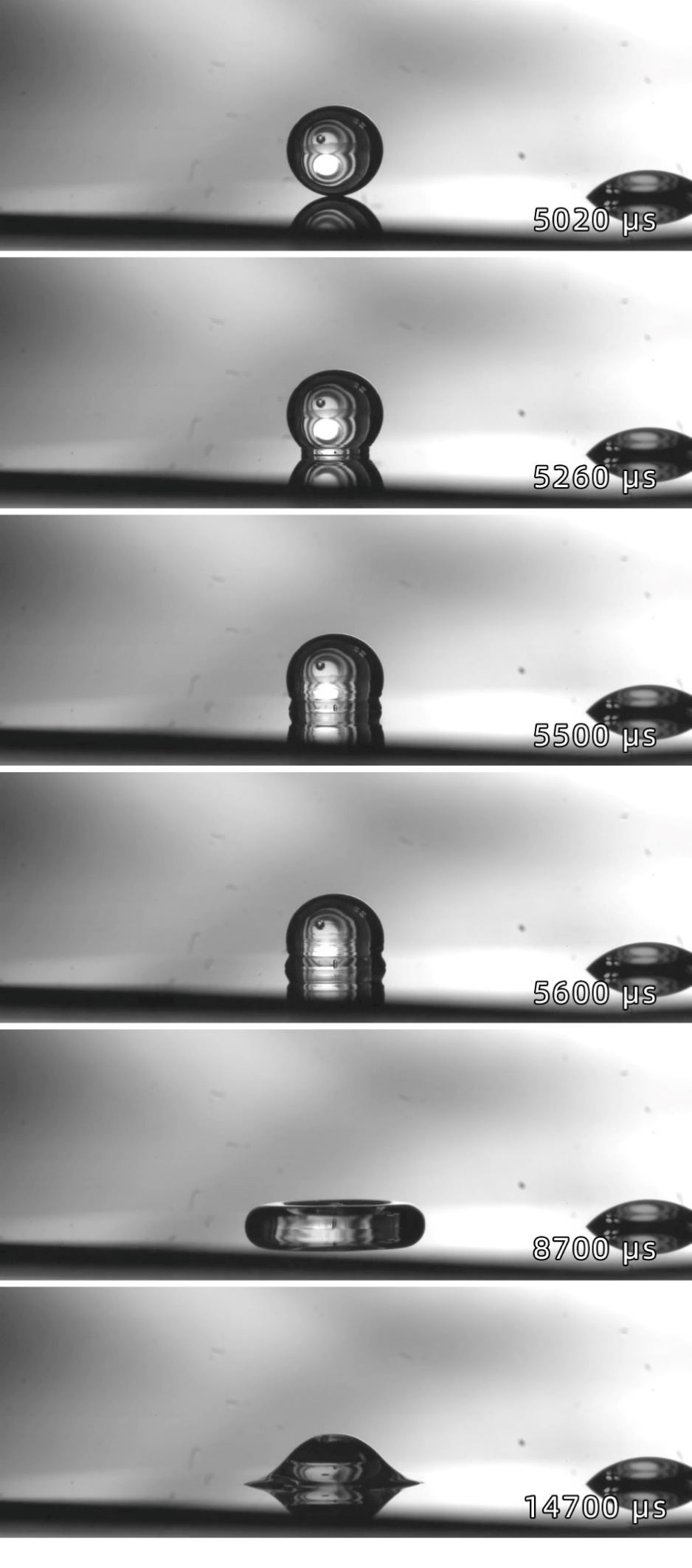 figure-2-horizontal-view-image-sequence-showing-shockwave-oscillation-and-morphological-evolution.jpg figure-2-horizontal-view-image-sequence-showing-shockwave-oscillation-and-morphological-evolution.jpg