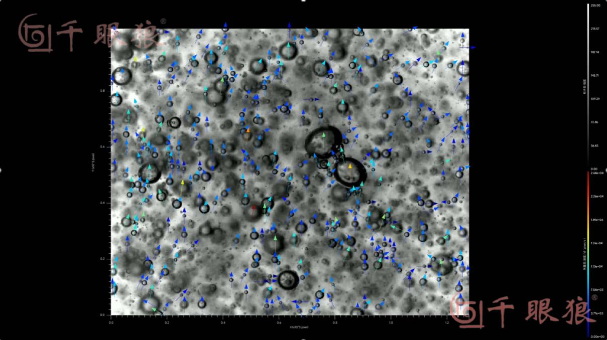 figure-the-bubble-size-distribution-and-two-dimensional-bubble-morphology-distribution-maps-were-measured-using-the-ptv-function-in-revealer-piv-software.jpg