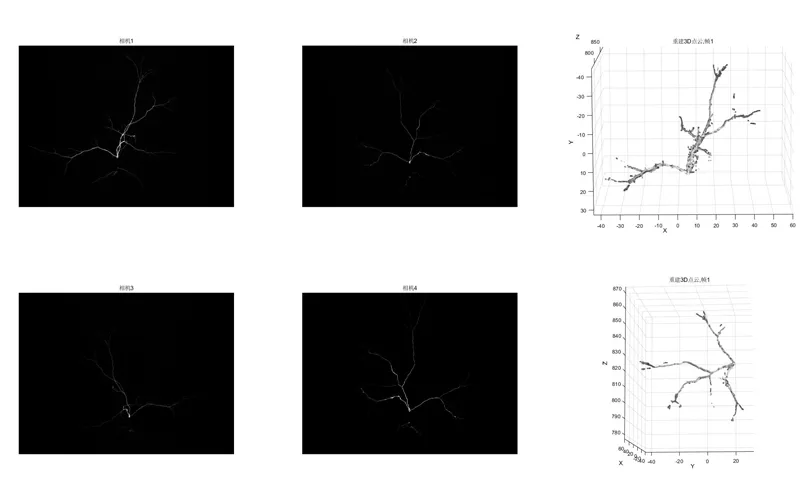3D Arc Reconstruction Using High-Speed Camera Imaging and Voxel-Based Modeling for Tesla Coil Discharge