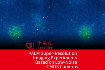 PALM Super-Resolution Imaging Experiments Based on Low-Noise sCMOS Cameras