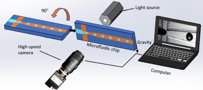 high-speed-camera-reveals-the-mechanism01.jpg