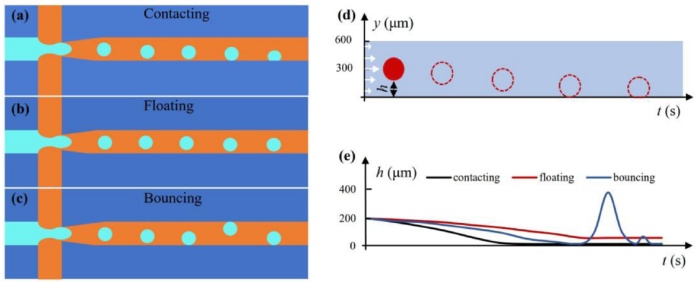 high-speed-camera-reveals-the-mechanism02.jpg