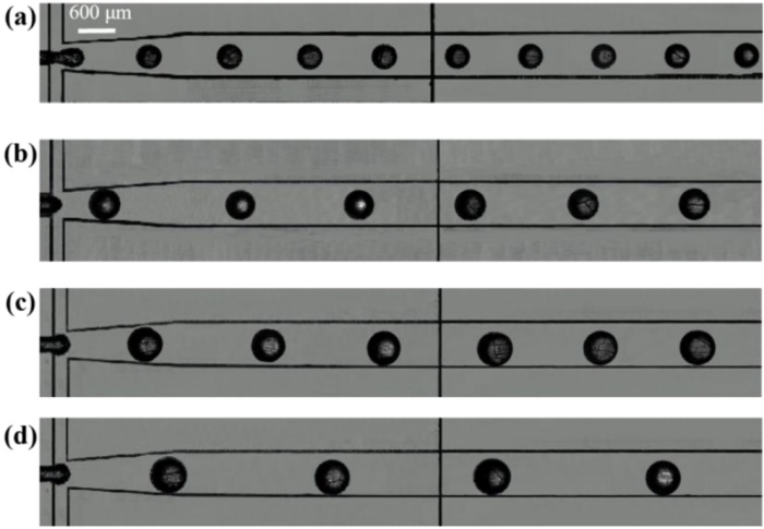 high-speed-camera-reveals-the-mechanism03.jpg