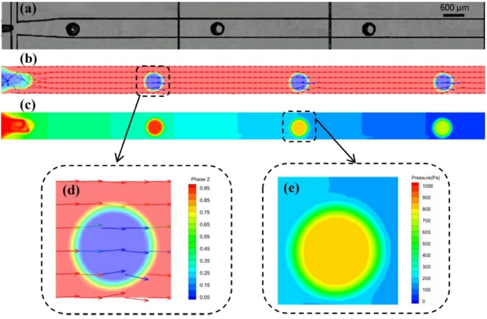 high-speed-camera-reveals-the-mechanism04.jpg