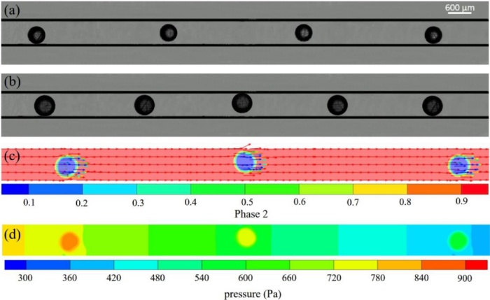 high-speed-camera-reveals-the-mechanism05.jpg