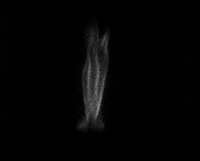 high-speed-camera-uv-reveals-radical-evolution-in-methane-ammonia-combustion-at-isoc-2026-03.jpg